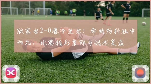 欧塞尔2-0爆冷里尔：希纳约科独中两元，比赛精彩集锦与战术复盘